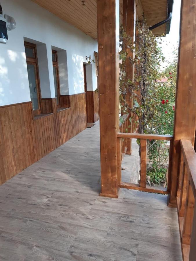 Pensiunea Dodo Patarlagele Esterno foto