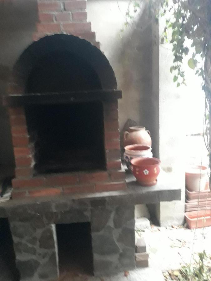 Pensiunea Dodo Patarlagele Esterno foto