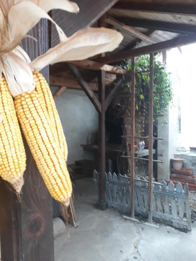 Pensiunea Dodo Patarlagele Esterno foto