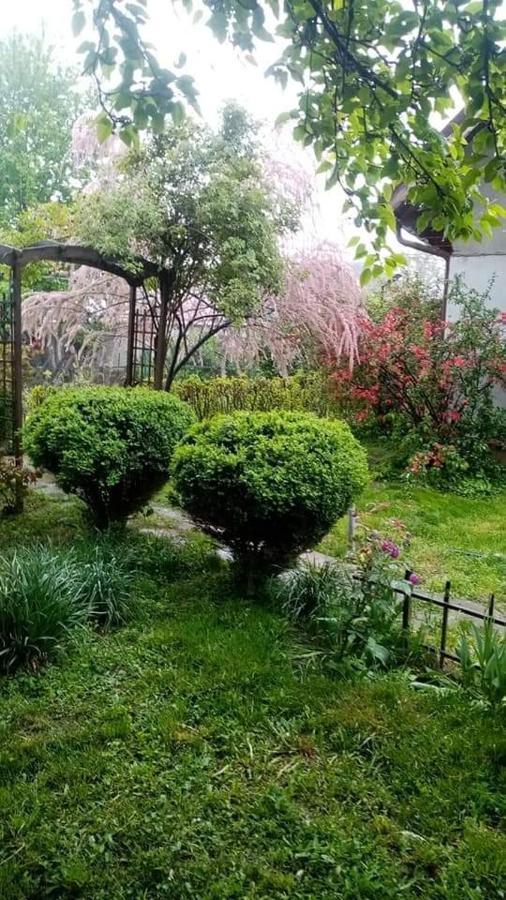 Pensiunea Dodo Patarlagele Esterno foto